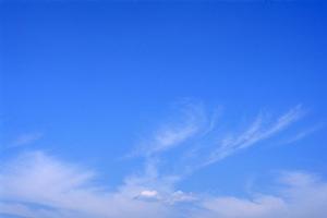 静岡県浜松市に新規オープン！家族葬に最適な家族葬のタクセル有玉南町の全貌と特徴とは