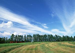 【公式】家族葬のタクセル新緑町|栃木県那須塩原市の家族葬専門斎場・葬儀場