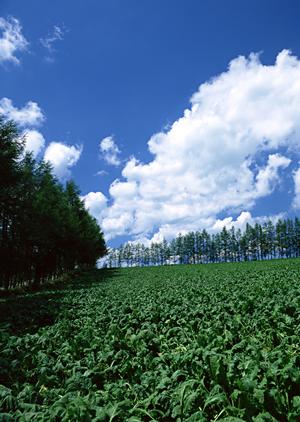 静岡市葵区の家族葬に最適な斎場|家族葬のタクセル沓谷の特徴と料金プラン