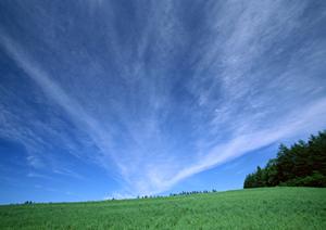 静岡県浜松市の家族葬・一般葬に最適な富士葬祭 高林:安心と信頼の葬儀サービス
