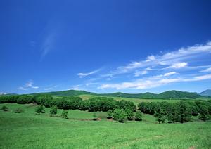 静岡県島田市で信頼できる葬儀サービスを提供する富士葬祭 島田の詳細情報と特徴