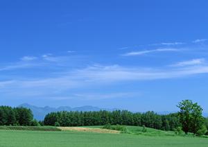 静岡県富士宮市における安心の家族葬と葬儀サービス?富士葬祭の特徴と店舗情報