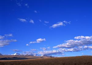 静岡県藤枝市の家族葬専門斎場『家族葬のタクセル岡出山』最新情報と特徴紹介