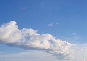 あなたのビジネスを引き立てるグーグルビジネスプロフィール作成の極意