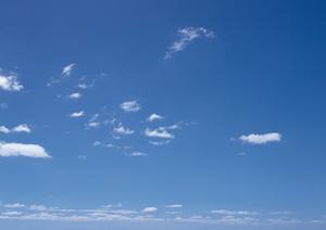 鹿児島で信頼できるペット葬儀を選ぶための完全ガイドと心のケア方法