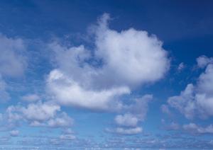 静岡県浜松市にある家族葬のタクセル領家:安心と低価格の葬儀サービスを提供