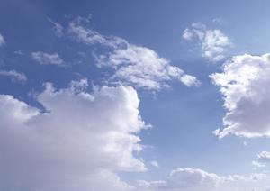 栃木県宇都宮市で安心・低価格の家族葬を提供する「家族葬のタクセル平松本町」最新情報と特徴解説