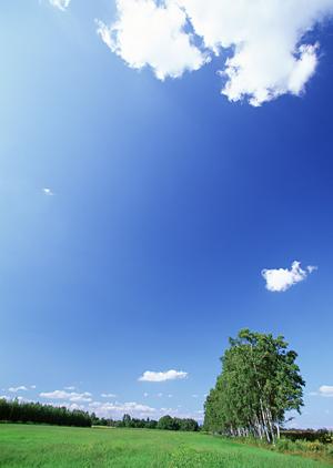 島田市で信頼の葬儀サービスを提供する富士葬祭 六合の全容と特徴