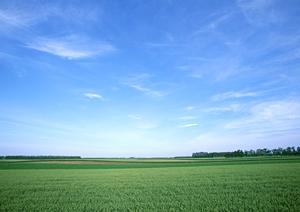 静岡市駿河区の安心の葬儀サービス【富士葬祭 聖一色】詳しい特徴と店舗情報