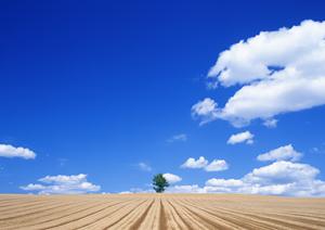 静岡市で信頼の葬儀を提供する【富士葬祭 慈悲尾】の特徴とサービス詳細