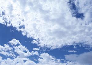 403 Forbiddenエラーの原因と解決方法|Webサイトのアクセス制限について詳しく解説